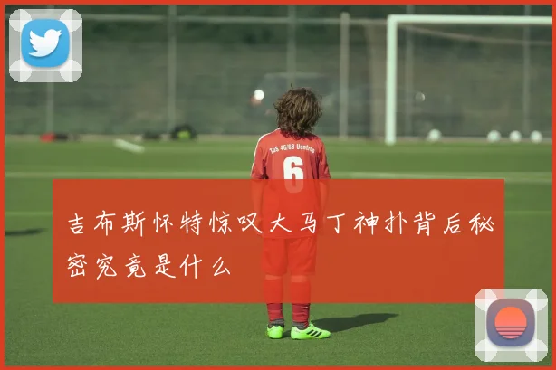 吉布斯怀特惊叹大马丁神扑背后秘密究竟是什么
