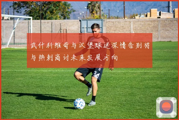 武什科维奇与汉堡球迷深情告别将与热刺商讨未来发展方向